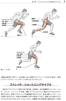 41MaQt1J+yL._AC_UF350,